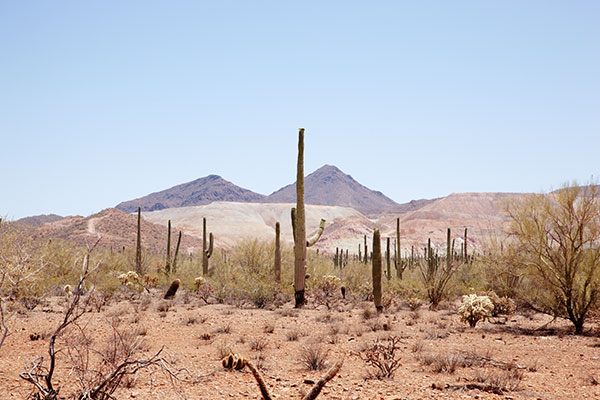 Silver Bell Mine Dumps Arizona