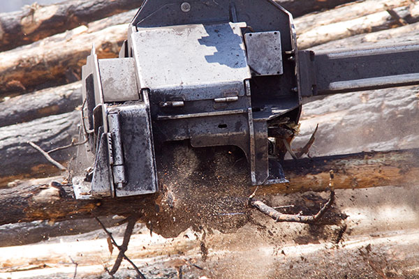 Delimber head clearing branches from tree Arizona   