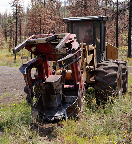 Feller-buncher  Arizona   