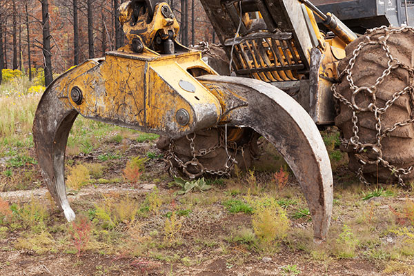 Detail of Grapple John Deere 648G-II TC Skidder Arizona  Title= 