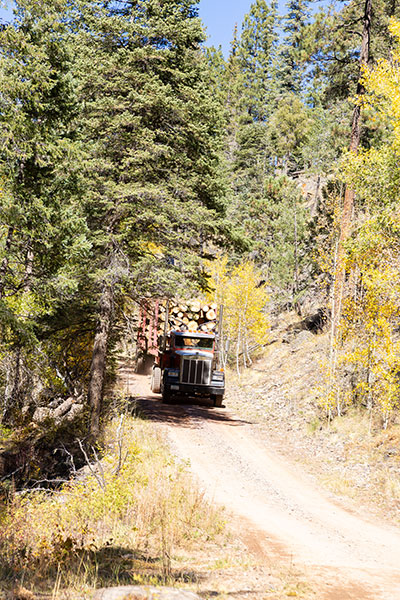 Logging Truck Apache National Forest, Arizona