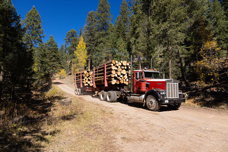 Logging Truck Apache National Forest, Arizona