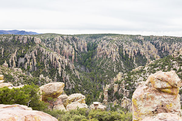 Scene from Massai Point, Chiricahua National Monument, Arizona 