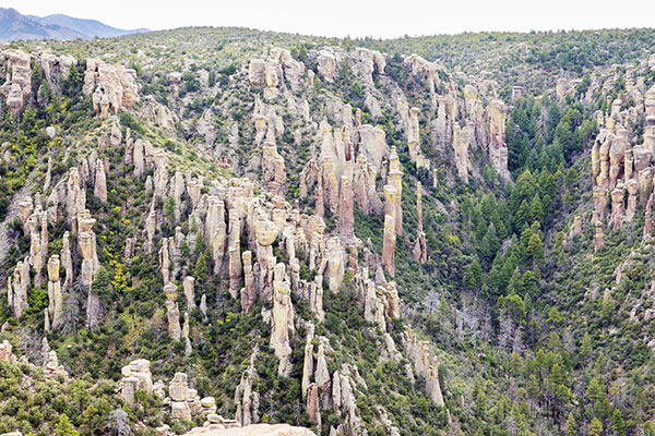 Scene from Massai Point, Chiricahua National Monument, Arizona 