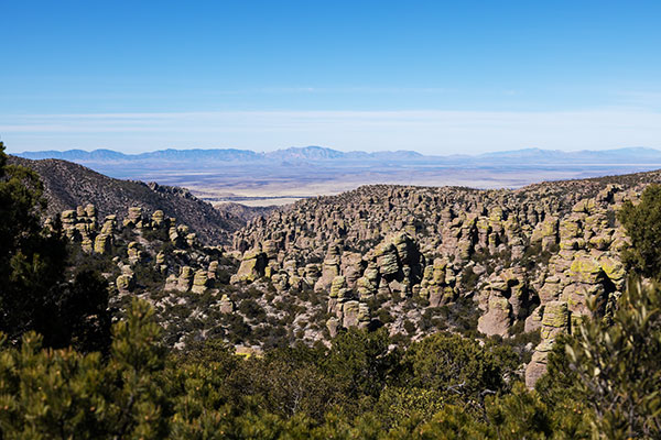 Rhyolite Canyon from Massai Point, Chiricahua National Monument, Arizona 