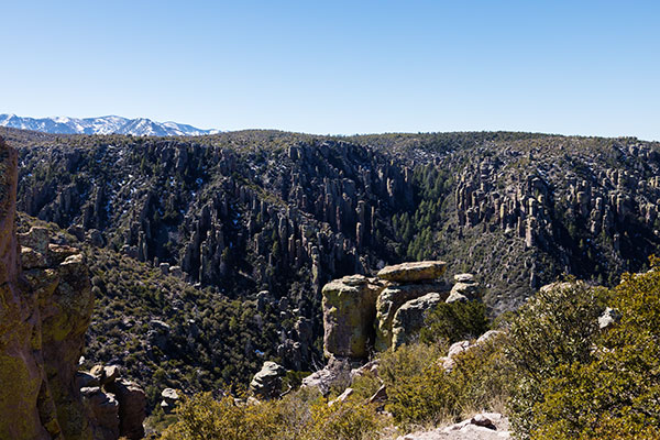 Rhyolite Canyon from Massai Point, Chiricahua National Monument, Arizona 