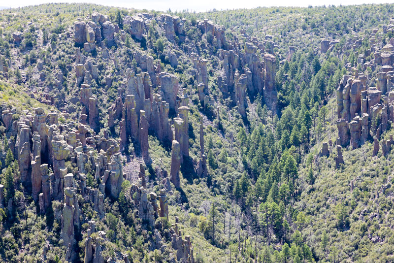 Rhyolite Canyon from Massai Point, Chiricahua National Monument, Arizona 