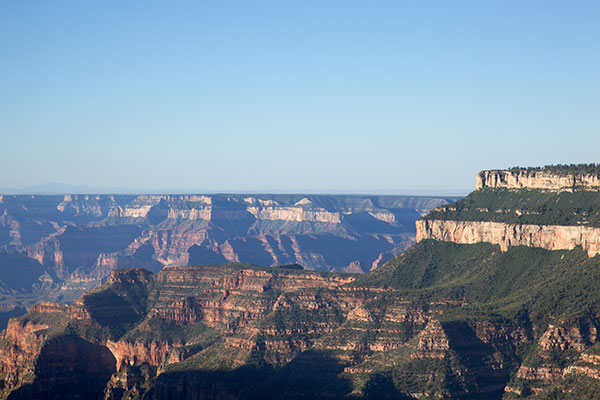 Swamp Point, North Rim, Grand Canyon National Park, Arizona 
