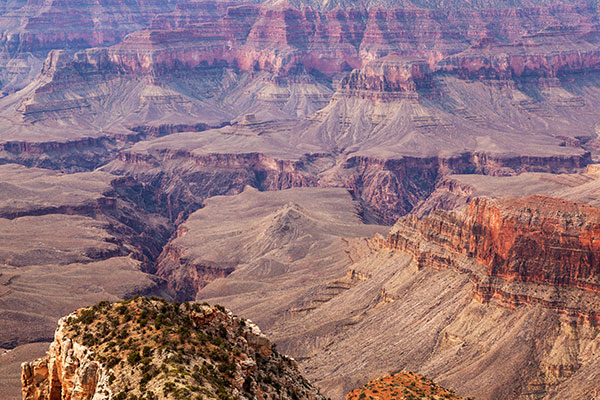 Point Sublime, North Rim, Grand Canyon National Park, Arizona 