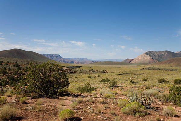 View along Toroweap Road, Tuweep District, Grand Canyon National Park, Arizona