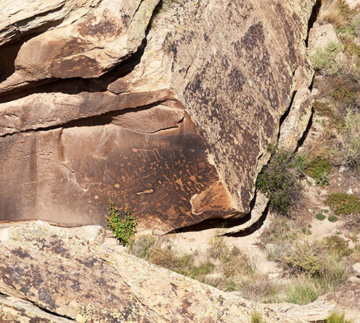 Petroglyphs, Newspaper Rock, Petrified Forest National Park, Arizona