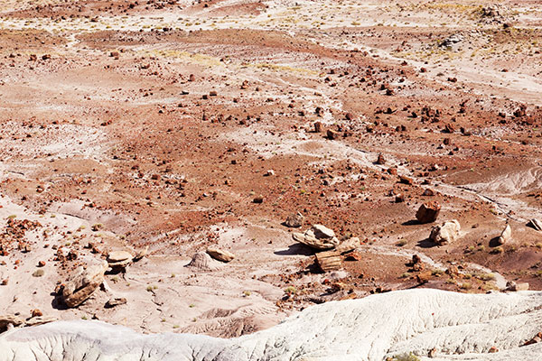 Jasper Forest from Overlook, Petrified Forest National Park, Arizona