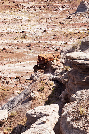 Jasper Forest from Overlook, Petrified Forest National Park, Arizona