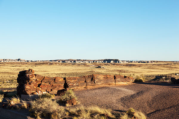 Petrified Log wood, Petrified Forest National Park, Arizona
