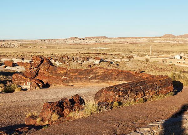 Petrified Log wood, Petrified Forest National Park, Arizona