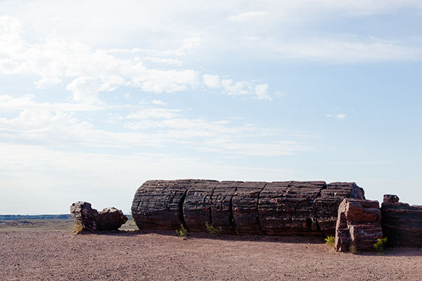 Petrified Log Giant Logs Trail, Petrified Forest National Park, Arizona