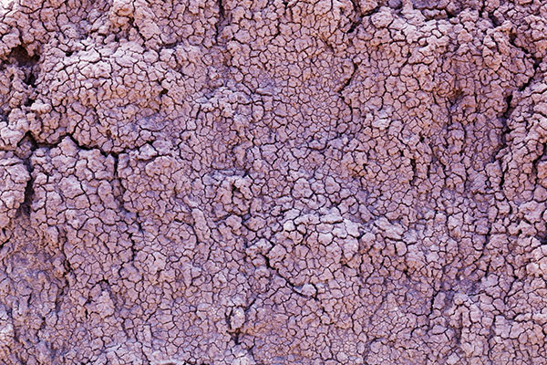 Weathered Clay Texture, Petrified Forest National Park, Arizona