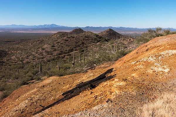 Saguaro National Park