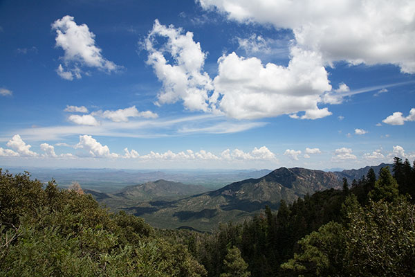 East Turkey Creek, Chiricahua Mountains, Arizona