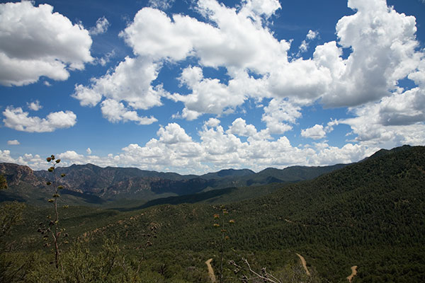 Trans-Mountain Road at East Turkey Creek, Chiricahua Mountains, Arizona