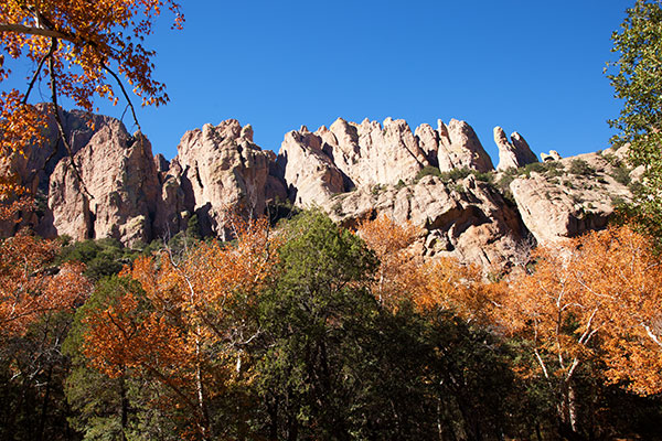 Fall Colors, Cave Creek, Chiricahua Mountains, Arizona