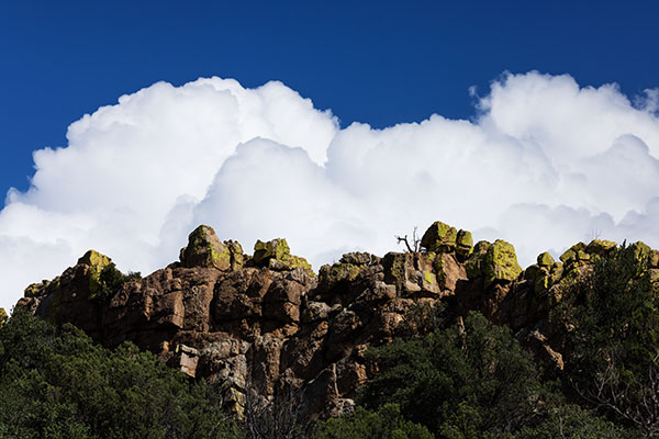 Lichen covered rocks in Rucker Canyon, Chiricahua Mountains, Arizona