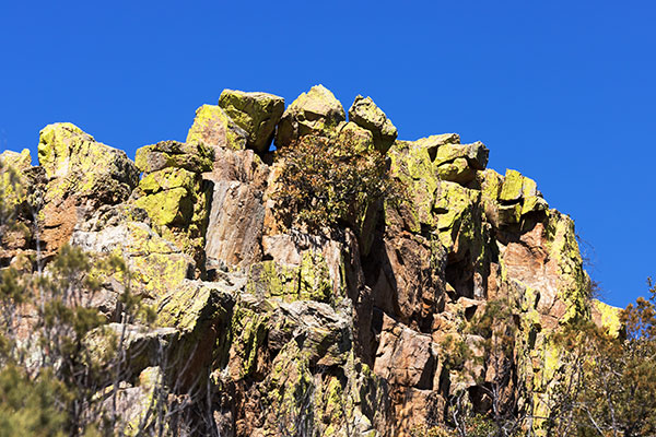 Lichen covered rocks in Rucker Canyon, Chiricahua Mountains, Arizona