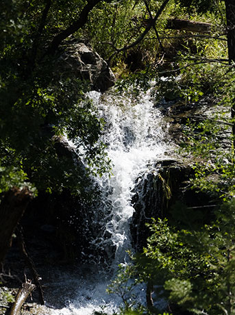 Waterfall in Pinery Canyon, Chiricahua Mountains, Arizona