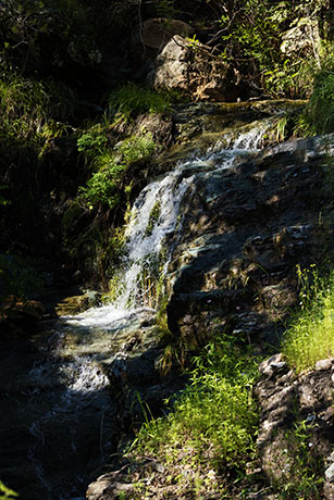 Waterfall in Pinery Canyon, Chiricahua Mountains, Arizona