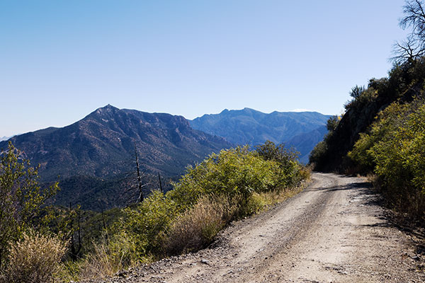 Scene along Trans-mountain Road, Chiricahua Mountains, Arizona