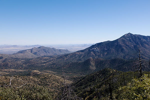 Scene along Trans-mountain Road, Chiricahua Mountains, Arizona