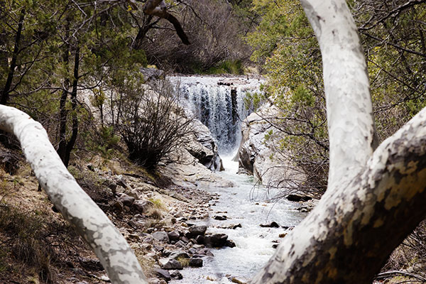 Water flowing over Dam at John Hand Campground, Cave Creek, Chiricahua Mountains, Arizona