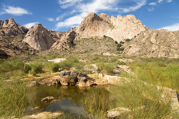 Altar Valley, Pima County, Arizona