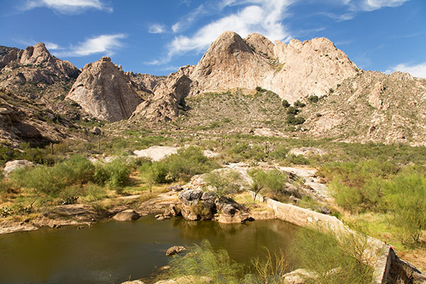 Altar Valley, Pima County, Arizona