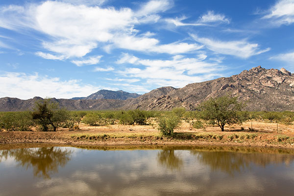 Altar Valley, Pima County, Arizona