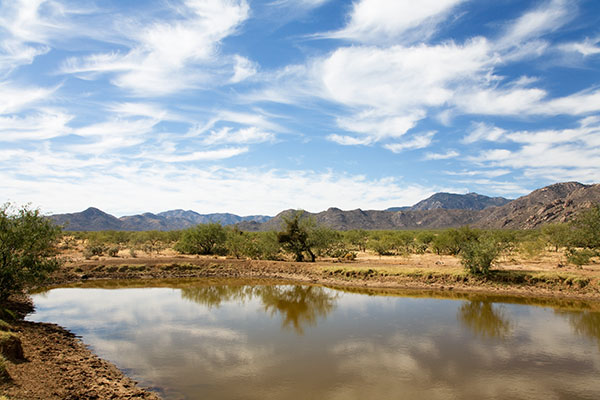 Altar Valley, Pima County, Arizona