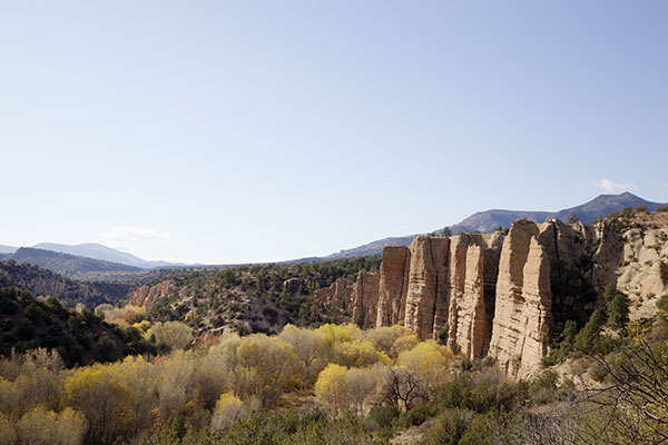 Fall Colors, Blue River along Juan Miller Road, Apache National Forest, Arizona