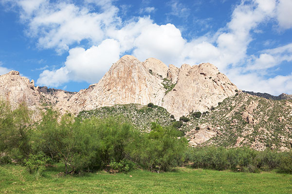 Angel's Wings, Mendoza Canyon, Coyote Mountains, Pima County,  Arizona 