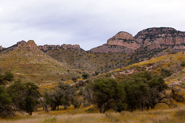 Atascosa Mountains, Santa Cruz County,  Arizona 