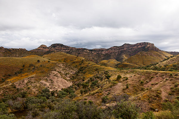 Atascosa Mountains, Santa Cruz County,  Arizona 