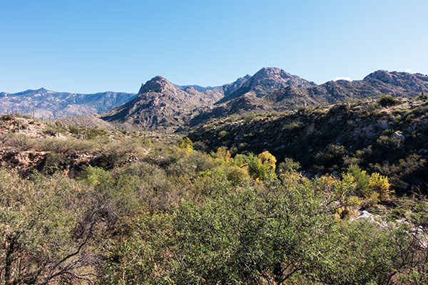 Sutherland Wash, Catalina State Park,  Arizona 