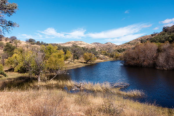 Lake in California Gulch (Ruby Lakes), Santa Cruz County,  Arizona 