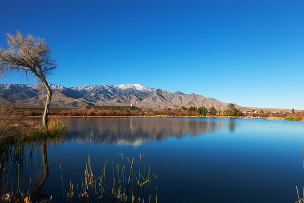 Dankworth Pond, Roper Lake State Park  Arizona 