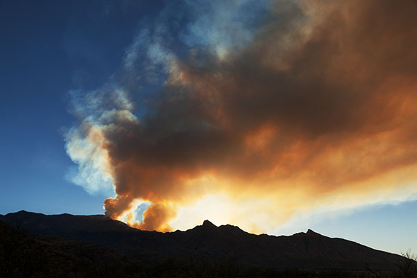  Smoke from Frye Fire south of Safford backlit with evening sun,  Arizona