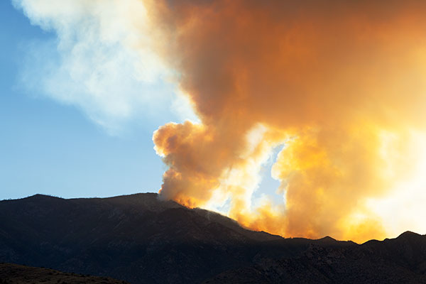  Smoke from Frye Fire south of Safford backlit with evening sun,  Arizona