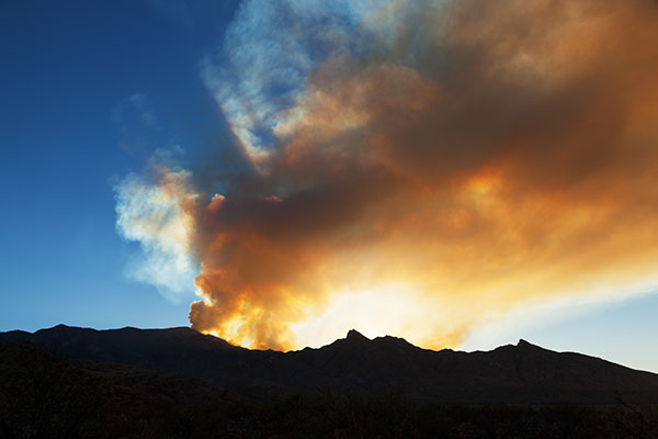 Smoke from Frye Fire south of Safford backlit with evening sun,  Arizona
