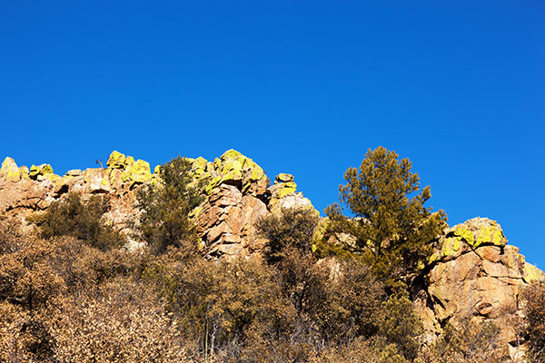 Rock outcrop in Rucker Canyon, Chiricahua Mountains, Arizona