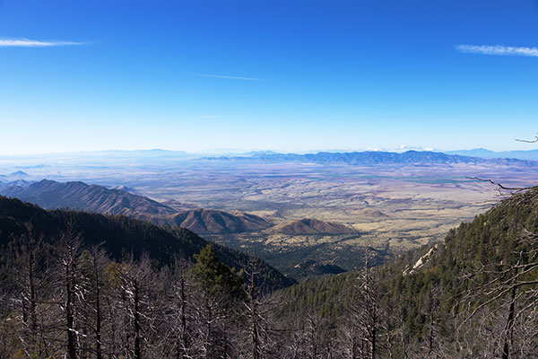 Sulphur Springs Valley from Swift Trail, Graham County, Arizona