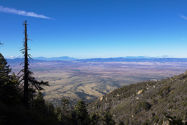Sulphur Springs Valley from Swift Trail, Graham County, Arizona