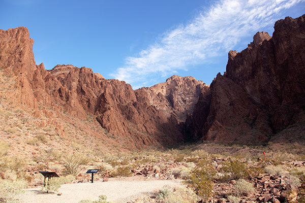 Palm Canyon, Kofa Mountains, Western Arizona 